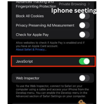 How To Enable JavaScript on iPhone